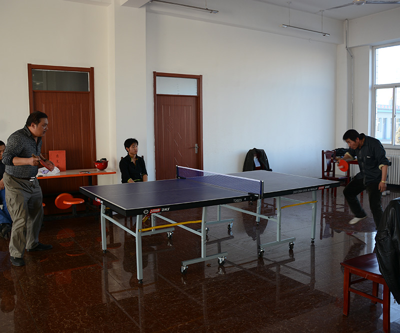 ƹ�������