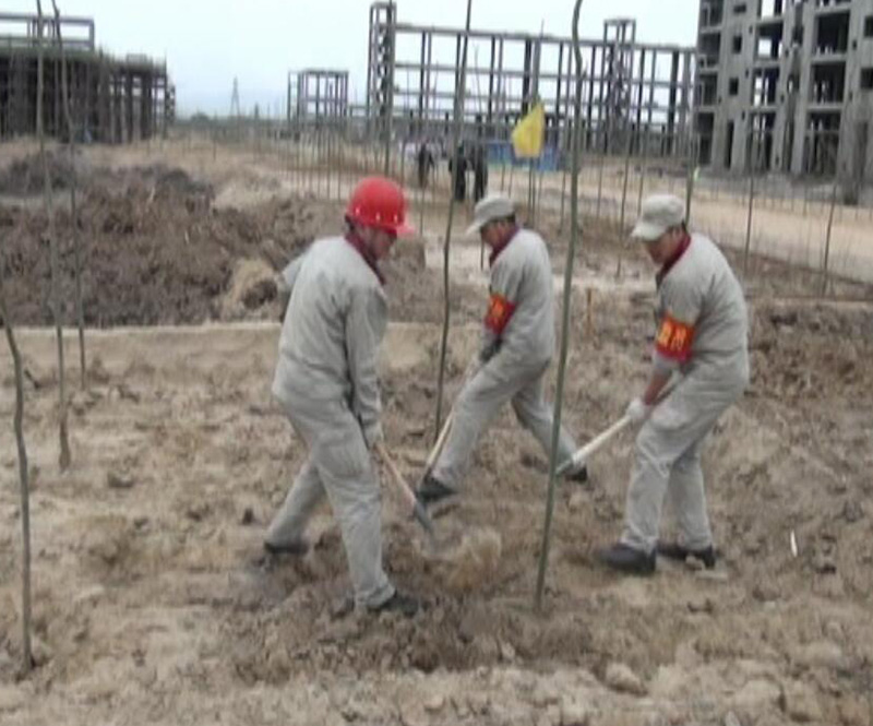 ��˾Ա���μ�ֲ���