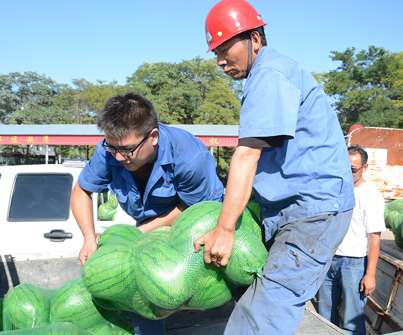 ��˾��Ա�������ļ�����Ʒ����